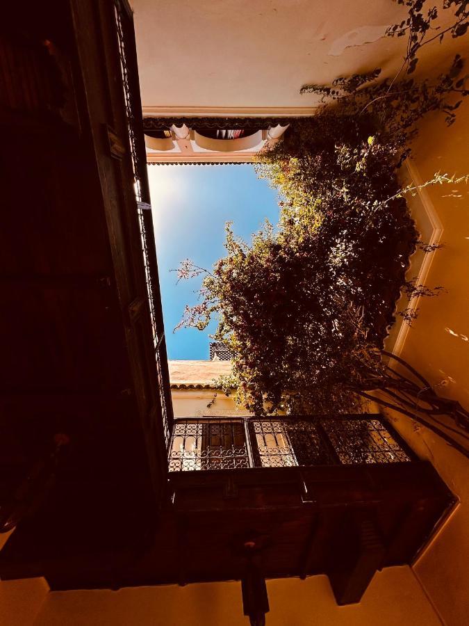 Riad Msholidays Bassin Privatise Marrakech Marakéš Exteriér fotografie