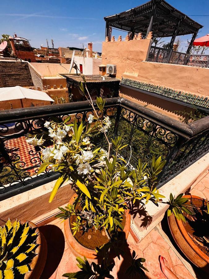 Riad Msholidays Bassin Privatise Marrakech Marakéš Exteriér fotografie